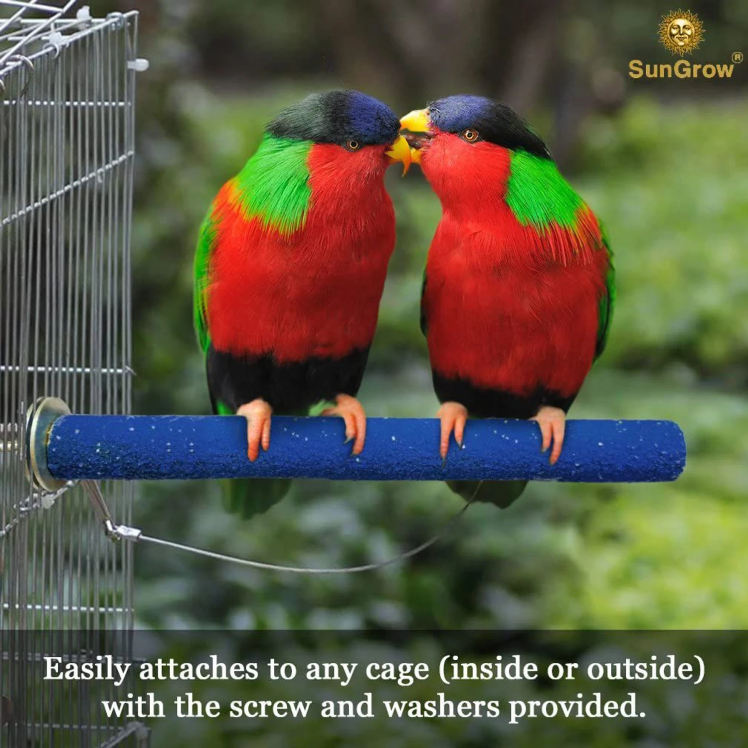 SunGrow Nail & Beak Trimmer Sand Coated Wooden Bird Perch Stand, Blue, 8-in 7 SunGrow Nail & Beak Trimmer Sand Coated Wooden Bird Perch Stand, Blue, 8-in - Image 5