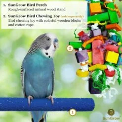 SunGrow Nail & Beak Trimmer Sand Coated Wooden Bird Perch Stand, Blue, 8-in 14 SunGrow Nail & Beak Trimmer Sand Coated Wooden Bird Perch Stand, Blue, 8-in -Sunny Decor Shop 579294 PT5. AC SS1800 V1658205844