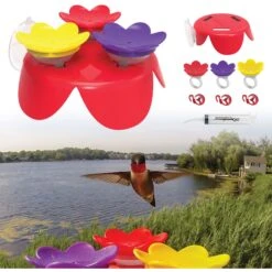 ZUMMR Hummingbird Ring Bird Feeder Starter Kit