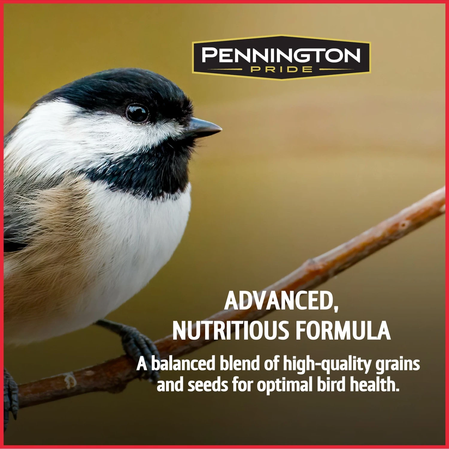 Pennington Pride Birder's Blend Bird Food, 10-lb Bag 3 Pennington Pride Birder's Blend Bird Food, 10-lb Bag - Image 2