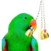 SunGrow Parrot Hanging Ring Bell Bird Toys Cage Accesories, 3 Count, 7.9-inch 1 SunGrow Parrot Hanging Ring Bell Bird Toys Cage Accesories, 3 Count, 7.9-inch -Sunny Decor Shop 640750 MAIN. AC SS1800 V1678994118