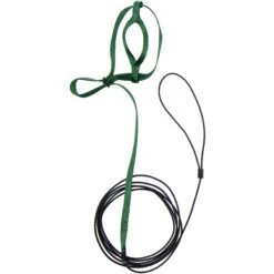 The Aviator Bird Harness & Leash -Sunny Decor Shop 641766 PT2. AC SS1800 V1680187637