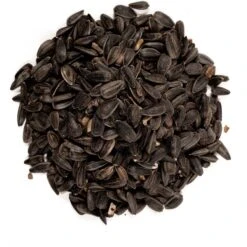 Wagner's Classic Wild Bird Food & Wagner's Four Season 100% Black Oil Sunflower Seed Wild Bird Food -Sunny Decor Shop 653574 PT8. AC SS1800 V1665504624