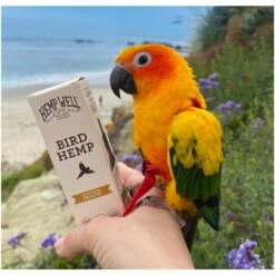 Hemp Well Bird Hempseed Oil Bird Supplement, 2-oz Bottle -Sunny Decor Shop 654046 PT3. AC SS1800 V1700689486