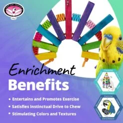 Super Bird Creations Balsa Peacock Bird Toy -Sunny Decor Shop 655774 PT4. AC SS1800 V1684341949