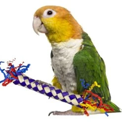 Super Bird Creations Firecracker Sticks Bird Toy, 5 Count -Sunny Decor Shop 655790 PT1. AC SS1800 V1669387451