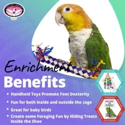 Super Bird Creations Firecracker Sticks Bird Toy, 5 Count -Sunny Decor Shop 655790 PT4. AC SS1800 V1684342736