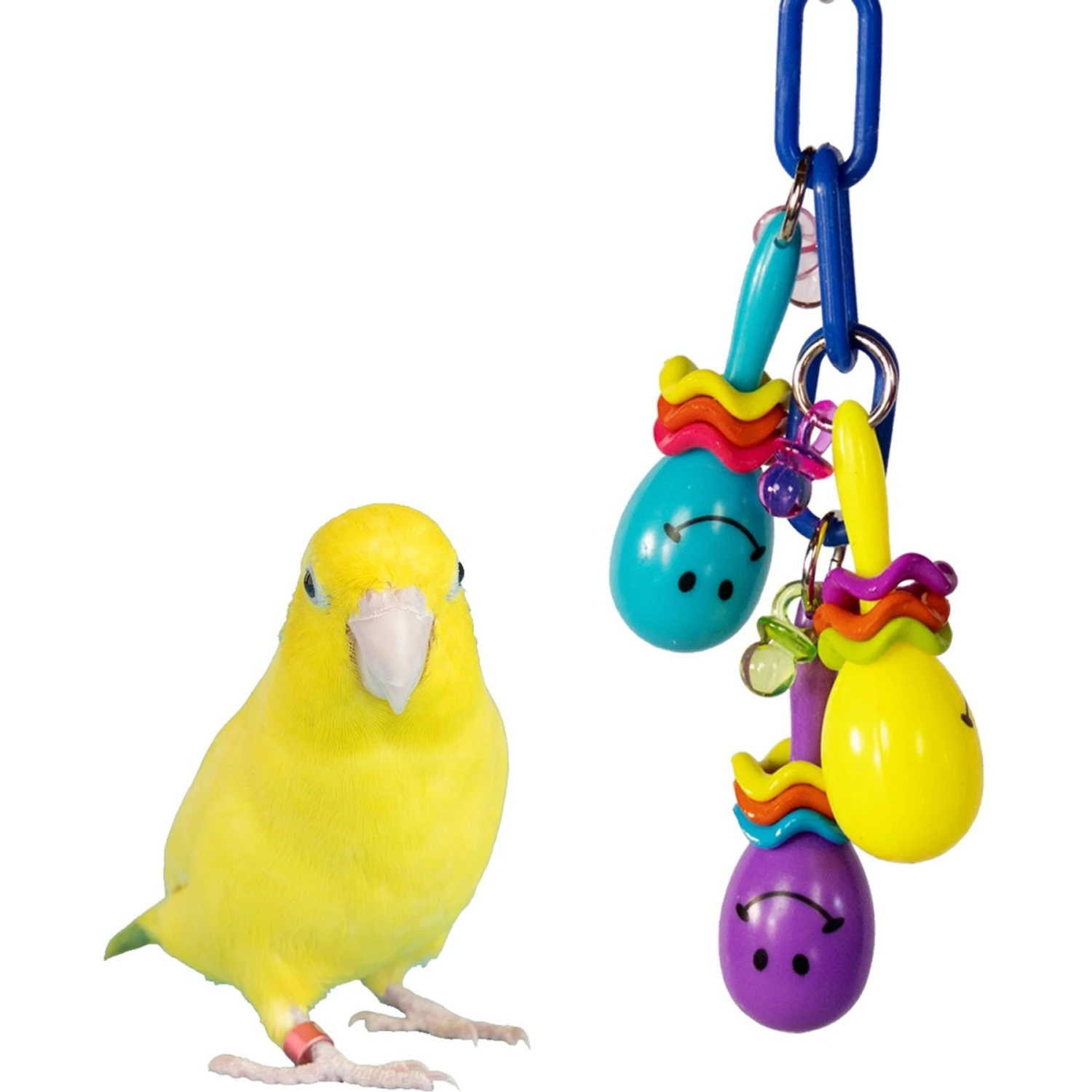Super Bird Creations Maraca Mania Bird Toy 3 Super Bird Creations Maraca Mania Bird Toy
