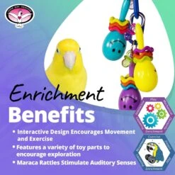 Super Bird Creations Maraca Mania Bird Toy 11 Super Bird Creations Maraca Mania Bird Toy -Sunny Decor Shop 655830 PT4. AC SS1800 V1684340595