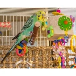 Super Bird Creations Dancing Daisies Bird Toy -Sunny Decor Shop 655862 PT2. AC SS1800 V1667338079