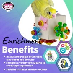 Super Bird Creations Dancing Daisies Bird Toy -Sunny Decor Shop 655862 PT4. AC SS1800 V1684342092