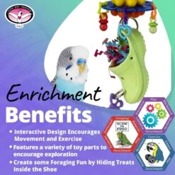 Super Bird Creations What A Croc! Bird Toy -Sunny Decor Shop 655878 PT4. AC SS1800 V1684340548