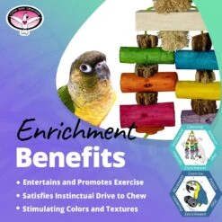 Super Bird Creations Sola Surprise Bird Toy -Sunny Decor Shop 655894 PT4. AC SS1800 V1684340543