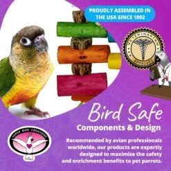 Super Bird Creations Sola Surprise Bird Toy -Sunny Decor Shop 655894 PT7. AC SS1800 V1684347962