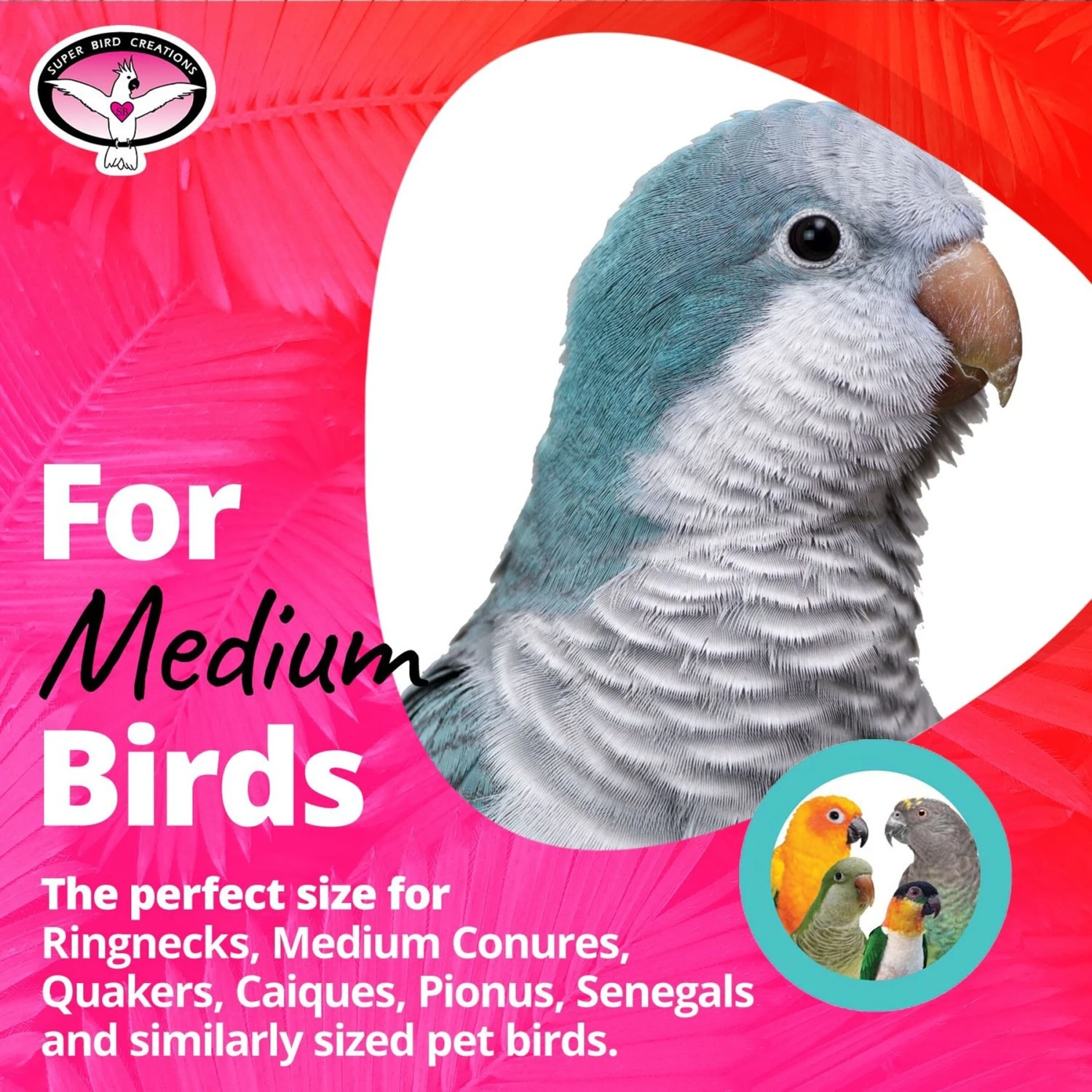 Super Bird Creations Balsa Flowers Bird Toy 6 Super Bird Creations Balsa Flowers Bird Toy - Image 4