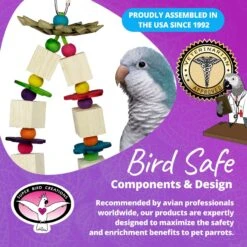 Super Bird Creations Balsa Flowers Bird Toy 14 Super Bird Creations Balsa Flowers Bird Toy -Sunny Decor Shop 655910 PT7. AC SS1800 V1684347964