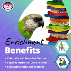 Super Bird Creations Haystack Bird Toy -Sunny Decor Shop 655926 PT4. AC SS1800 V1684340537