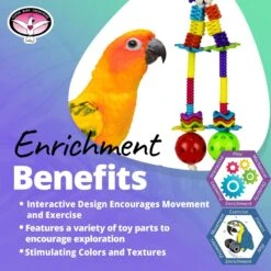 Super Bird Creations Beaky Beads Bird Toy -Sunny Decor Shop 655958 PT4. AC SS1800 V1684341892