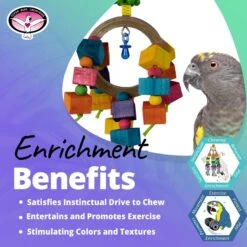 Super Bird Creations Balsa Rainbow Ring Bird Toy -Sunny Decor Shop 655990 PT4. AC SS1800 V1684334548