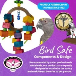 Super Bird Creations Balsa Rainbow Ring Bird Toy -Sunny Decor Shop 655990 PT7. AC SS1800 V1684334540