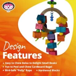 Super Bird Creations Balsa Rainbow Ring Bird Toy -Sunny Decor Shop 655990 PT8. AC SS1800 V1684334539