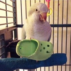 Super Bird Creations Crocs Bird Toy, 5 Count -Sunny Decor Shop 656006 PT2. AC SS1800 V1667343265