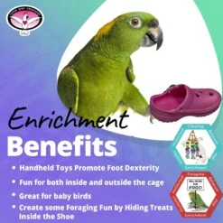 Super Bird Creations Crocs Bird Toy, 5 Count -Sunny Decor Shop 656006 PT4. AC SS1800 V1684334536