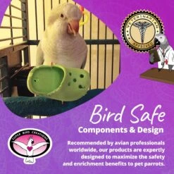 Super Bird Creations Crocs Bird Toy, 5 Count -Sunny Decor Shop 656006 PT7. AC SS1800 V1684334531