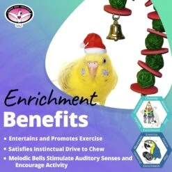 Super Bird Creations Vine Ball Candy Cane Bird Toy -Sunny Decor Shop 656022 PT4. AC SS1800 V1684334531