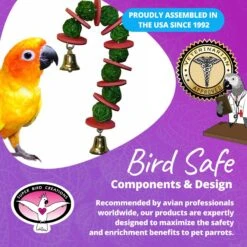 Super Bird Creations Vine Ball Candy Cane Bird Toy -Sunny Decor Shop 656022 PT7. AC SS1800 V1684334512