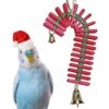 Super Bird Creations Balsa Candy Cane Bird Toy -Sunny Decor Shop 656038 MAIN. AC SS1800 V1667338081