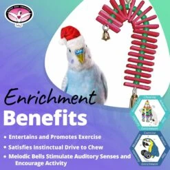 Super Bird Creations Balsa Candy Cane Bird Toy -Sunny Decor Shop 656038 PT4. AC SS1800 V1684334508