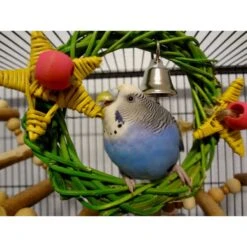 Super Bird Creations Xmas Wreath Vine Swing Bird Toy -Sunny Decor Shop 656070 PT2. AC SS1800 V1667356699