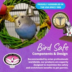 Super Bird Creations Xmas Wreath Vine Swing Bird Toy -Sunny Decor Shop 656070 PT7. AC SS1800 V1684334473