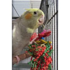 Super Bird Creations Xmas Crinkle Little Star Bird Toy -Sunny Decor Shop 656118 PT2. AC SS1800 V1667353951