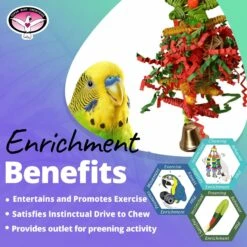 Super Bird Creations Xmas Crinkle Little Star Bird Toy -Sunny Decor Shop 656118 PT4. AC SS1800 V1684334495