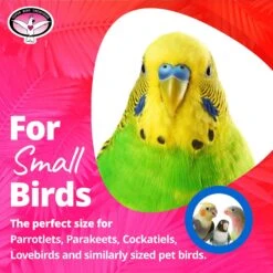 Super Bird Creations Xmas Crinkle Little Star Bird Toy -Sunny Decor Shop 656118 PT5. AC SS1800 V1684334491