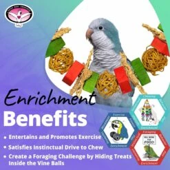 Super Bird Creations Xmas Garland Bird Toy -Sunny Decor Shop 656142 PT4. AC SS1800 V1684334425