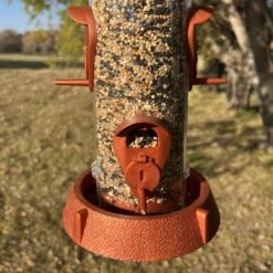 North States 2-in-1 Hinged-Port Bird Feeder, 6-Perch 11 North States 2-in-1 Hinged-Port Bird Feeder, 6-Perch -Sunny Decor Shop 659270 PT3. AC SS1800 V1674581580