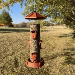 North States 2-in-1 Hinged-Port Bird Feeder, 6-Perch 12 North States 2-in-1 Hinged-Port Bird Feeder, 6-Perch -Sunny Decor Shop 659270 PT4. AC SS1800 V1674581579