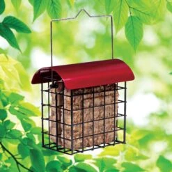 North States Crimson Double Suet Bird Feeder, Red -Sunny Decor Shop 659390 PT1. AC SS1800 V1664894030