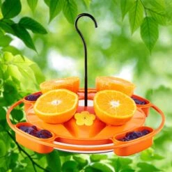 North States Hanging Tray Oriole Bird Feeder -Sunny Decor Shop 659478 PT2. AC SS1800 V1664894395