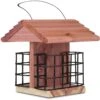 Pennington Cedar Suet Station Bird Feeder -Sunny Decor Shop 679294 MAIN. AC SS1800 V1666098885