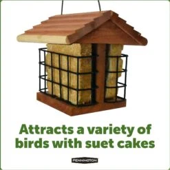 Pennington Cedar Suet Station Bird Feeder -Sunny Decor Shop 679294 PT2. AC SS1800 V1666130478