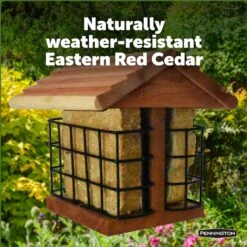 Pennington Cedar Suet Station Bird Feeder -Sunny Decor Shop 679294 PT3. AC SS1800 V1666190705