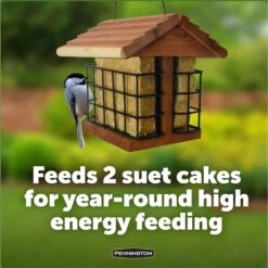 Pennington Cedar Suet Station Bird Feeder -Sunny Decor Shop 679294 PT4. AC SS1800 V1666130421