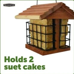 Pennington Cedar Suet Station Bird Feeder -Sunny Decor Shop 679294 PT7. AC SS1800 V1666189791