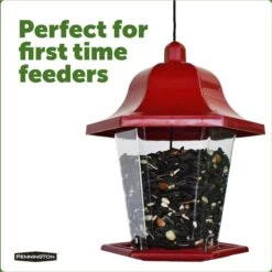 Pennington Songbird Lantern Bird Feeder 13 Pennington Songbird Lantern Bird Feeder -Sunny Decor Shop 679310 PT2. AC SS1800 V1666189791