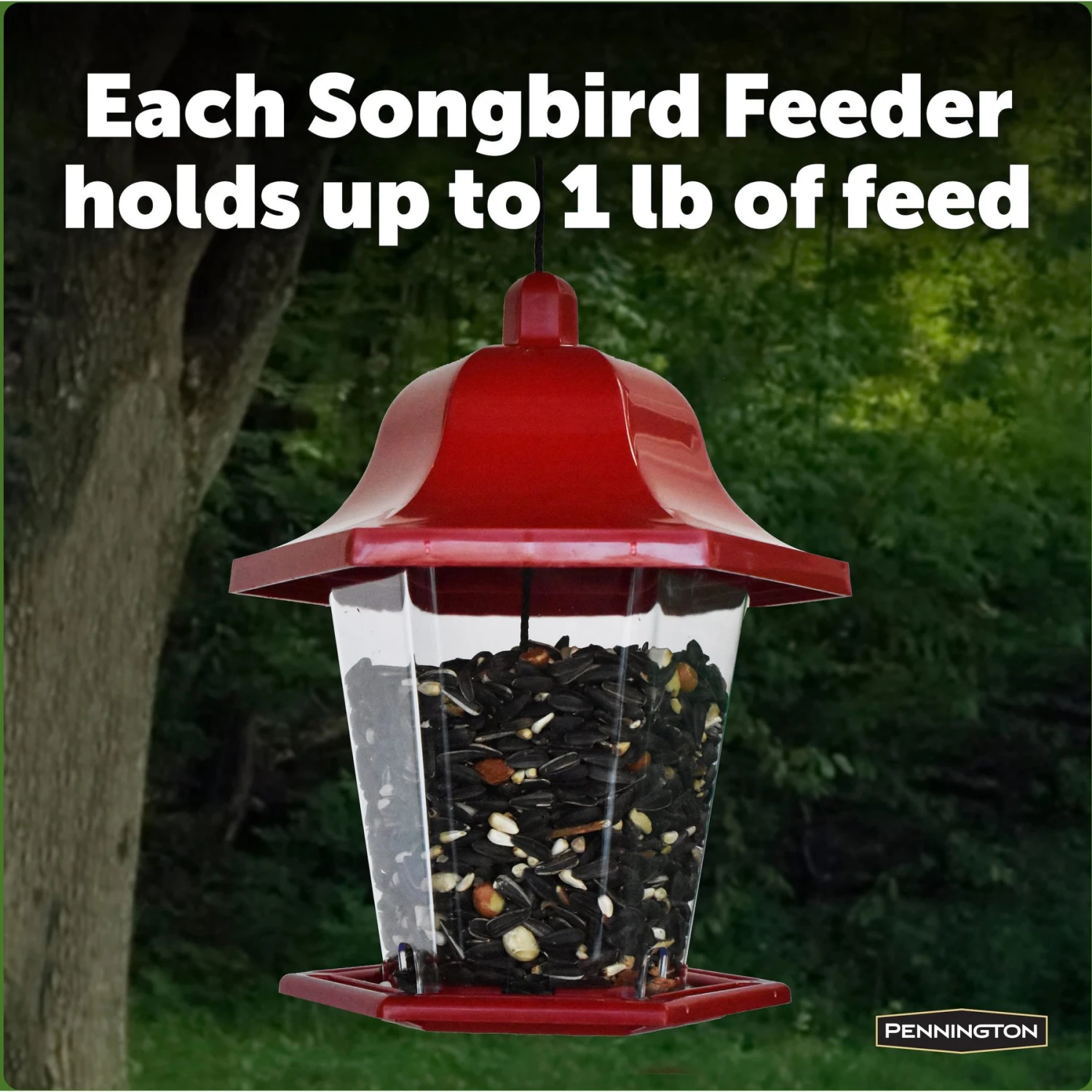 Pennington Songbird Lantern Bird Feeder 10 Pennington Songbird Lantern Bird Feeder - Image 8