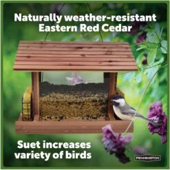 Pennington Cedar Grand Snack Shack Bird Feeder -Sunny Decor Shop 679366 PT2. AC SS1800 V1672248080